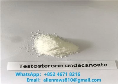 Powdrau steroid amrwd testosteron undecanoate