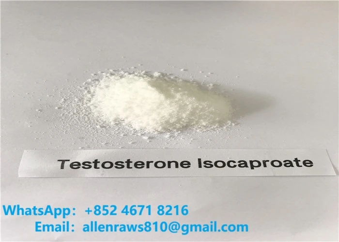 Powdrau steroid amrwd isocaproate testosteron